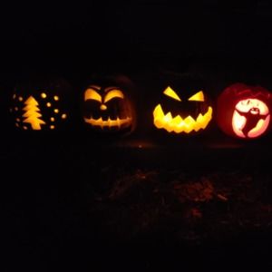 Meet your Posher, Rita